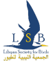 lsb logo