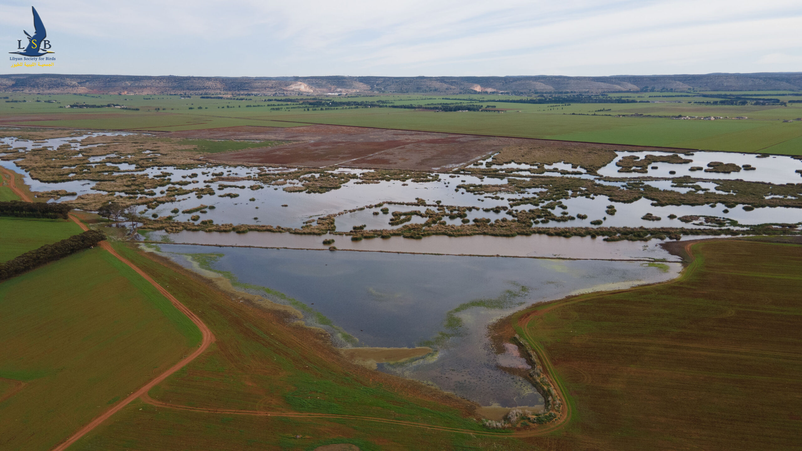 world wetlands day img