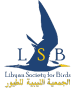 lsb logo